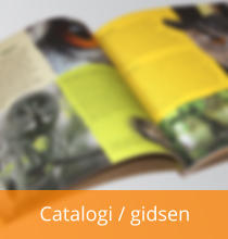 Catalogi / gidsen