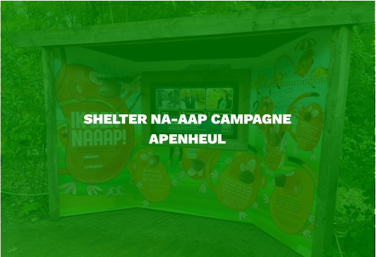 SHELTER NA-AAP CAMPAGNE  APENHEUL